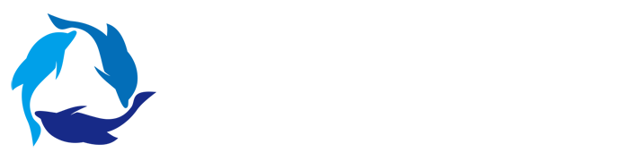 浙江体彩网
